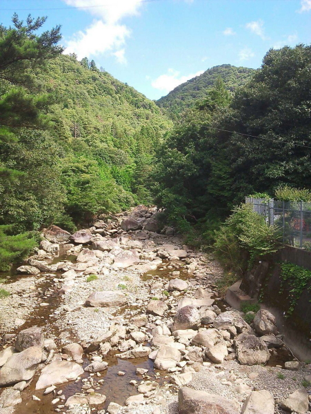 青野川