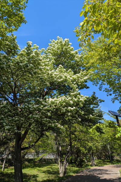 平荘湖