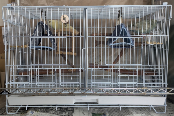 CAGE ONE 鳥かご ツイン バードゲージ 仕切り 付き