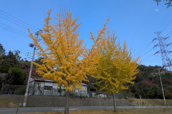 平荘湖＠兵庫県加古川市
