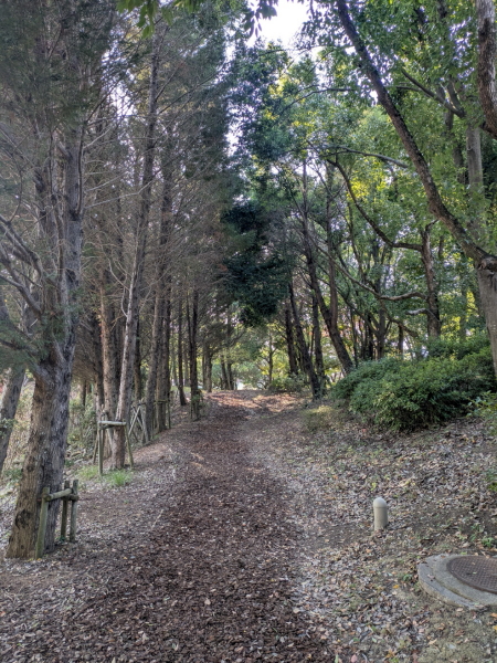 兵庫県加古川市 たんようウェルネスパーク