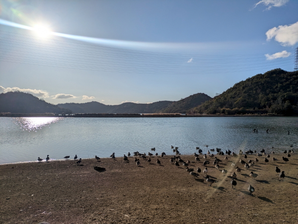 平荘湖＠兵庫県加古川市